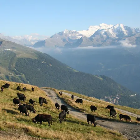 住宿加早餐酒店 克劳迪伊丽莎白米谢尔罗德度特尔住宿加早餐旅馆