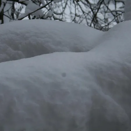 克劳迪伊丽莎白米谢尔罗德度特尔住宿加早餐旅馆 住宿加早餐酒店