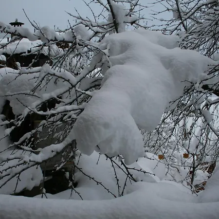克劳迪伊丽莎白米谢尔罗德度特尔住宿加早餐旅馆 * Le Châble