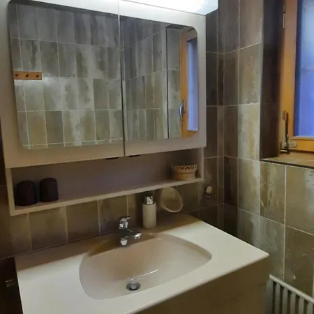 克劳迪伊丽莎白米谢尔罗德度特尔住宿加早餐旅馆 *