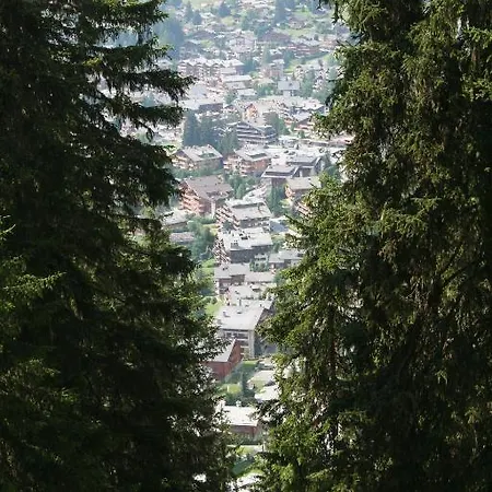 住宿加早餐酒店 克劳迪伊丽莎白米谢尔罗德度特尔住宿加早餐旅馆 *