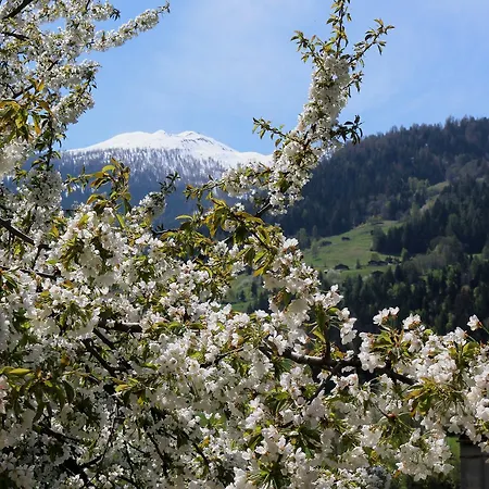 克劳迪伊丽莎白米谢尔罗德度特尔住宿加早餐旅馆 Le Châble