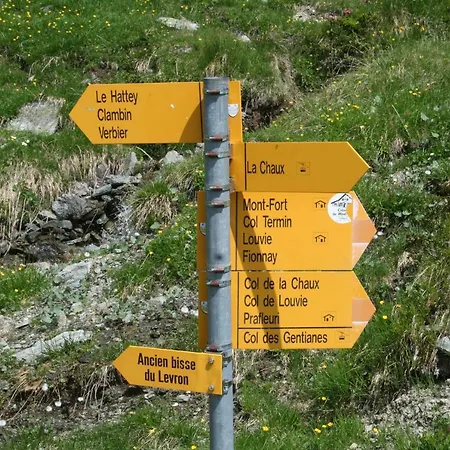 克劳迪伊丽莎白米谢尔罗德度特尔住宿加早餐旅馆 住宿加早餐酒店