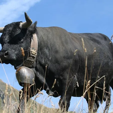 Claudy Et Elizabeth Michellod-dutheil B&B *