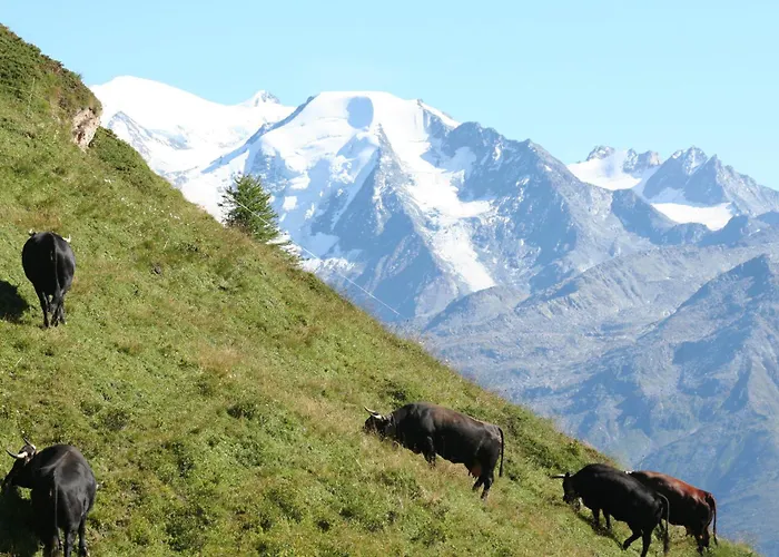 ベッド・アンド・ブレックファスト Claudy Et Elizabeth Michellod-dutheil *