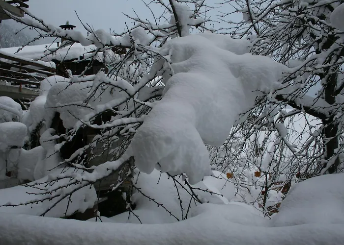 Claudy Et Elizabeth Michellod-dutheil * Le Châble