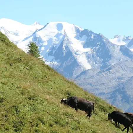 Oda ve Kahvaltı Claudy Et Elizabeth Michellod-dutheil *