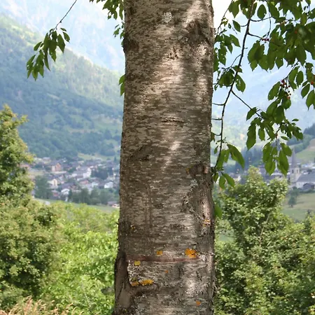 Claudy Et Elizabeth Michellod-dutheil Oda ve Kahvaltı *