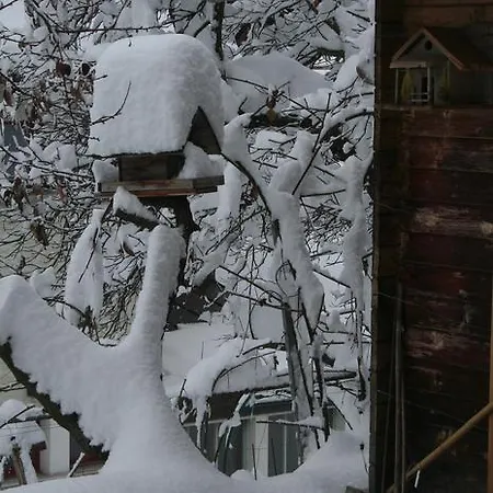 Claudy Et Elizabeth Michellod-dutheil Oda ve Kahvaltı Le Châble