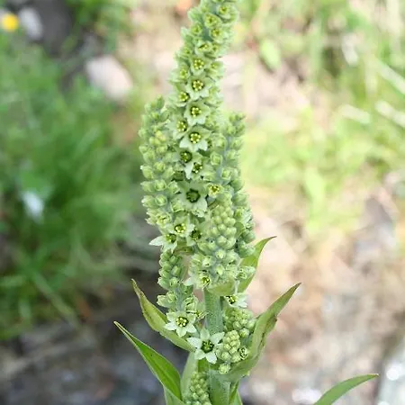 Claudy Et Elizabeth Michellod-dutheil * Le Châble