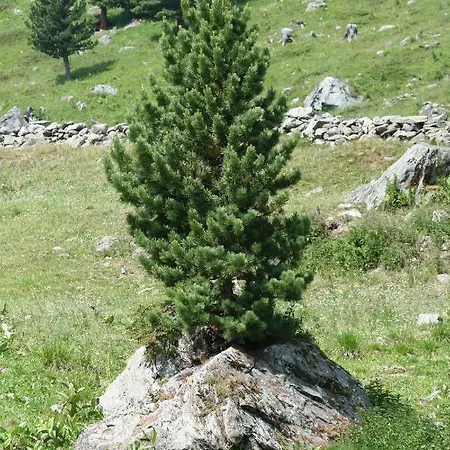 Claudy Et Elizabeth Michellod-dutheil
