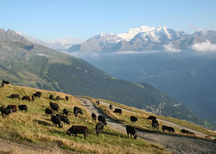 Bed & Breakfast Claudy Et Elizabeth Michellod-dutheil