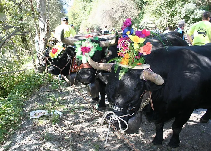 Bed & Breakfast Claudy Et Elizabeth Michellod-dutheil *