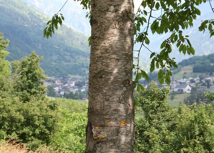 Claudy Et Elizabeth Michellod-dutheil Bed & Breakfast *