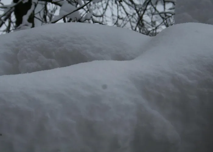 Claudy Et Elizabeth Michellod-dutheil Bed & Breakfast