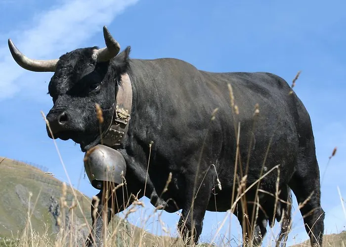Claudy Et Elizabeth Michellod-dutheil Bed & Breakfast *