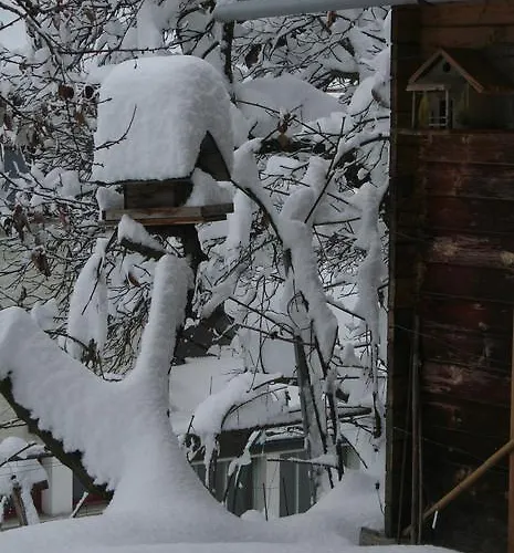 Claudy Et Elizabeth Michellod-dutheil Bed & Breakfast Le Châble