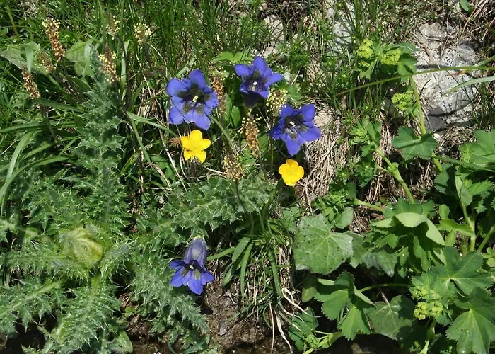 Claudy Et Elizabeth Michellod-dutheil * Le Châble