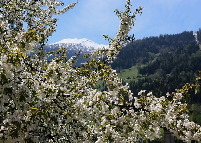 Claudy Et Elizabeth Michellod-dutheil Le Châble