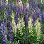 Claudy Et Elizabeth Michellod-dutheil Bed & Breakfast